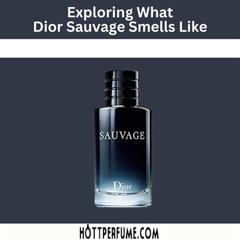 dior sauvage 2024|dior sauvage smells like.